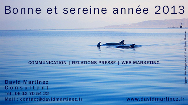 VOEUX 2013